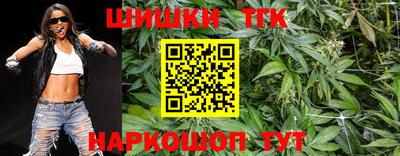 индика Конаково