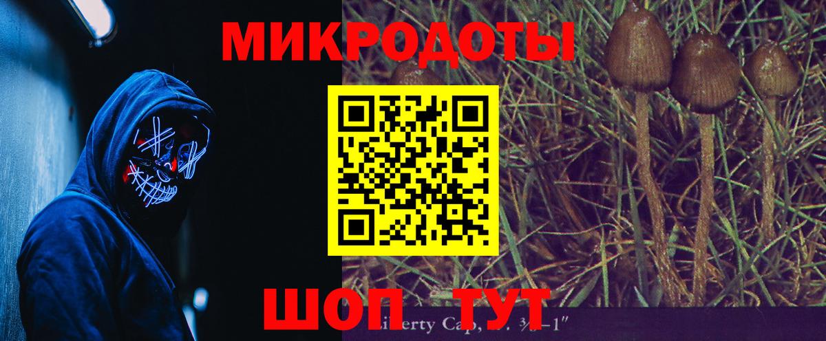 Вязьма  Псилоцибиновые грибы Psilocybe  Вход с VPN 